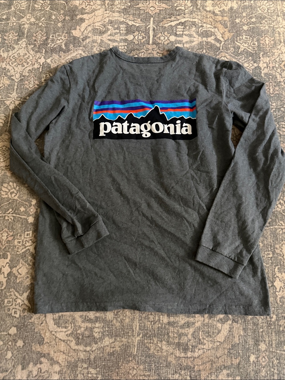 Patagonia Long-Sleeve Logo Tee - NWOT